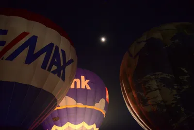 DSC_2424 (Large).JPG